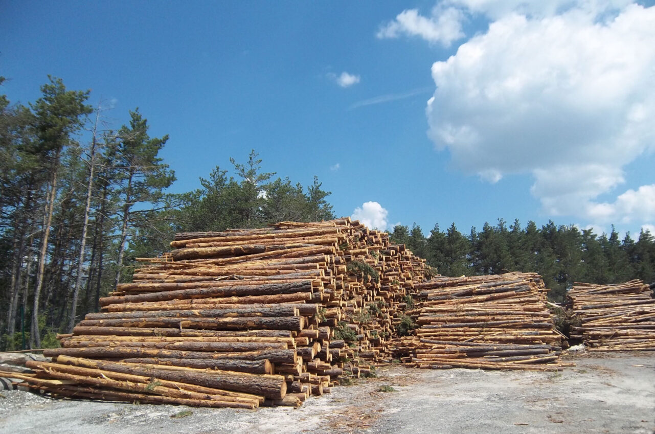 Module Bois-Énergie MBC : Caractérisation de la matière bois